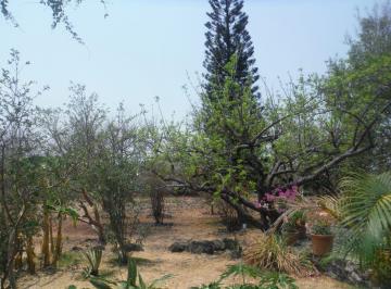 Terreno / Lote , Yautepec · Terreno con Construcción en Venta de 9050 m² en Santa Rosa Oaxtepec, Pavimentadas