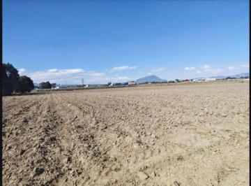 Terreno / Lote , Amozoc · 90 m Frente a Carretera 17,000 m²