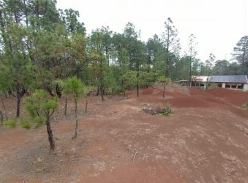 Terreno / Lote , Huasca de Ocampo · Terreno en Venta Huasca Hidalgo