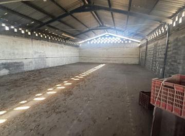 Bodega comercial · 600m² · Bodega Industrial en Renta en Colonia Independencia