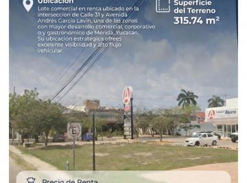 Local comercial · Local - Mérida