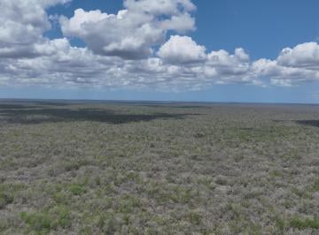 Terreno / Lote , Tetiz · 986 Hectáreas Junto a El Palmar – Oportunidad en Bloque