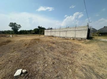 Terreno / Lote , Cuautla · Terreno de 140 m² en Venta, El Sifón, con 7 m de Frente