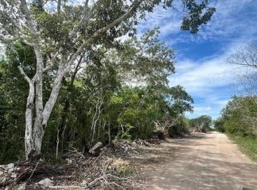Terreno / Lote · 71171m² · Terreno 7.1 Hectáreas a 2 Km de Carr Merida Progreso, Camino Blanco