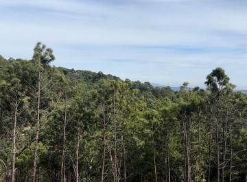Terreno / Lote , La Manzanilla de la Paz · Terreno de 1 Hectárea “fraccionamiento Las Cuevas” Entre Mazamitla y La Manzanil