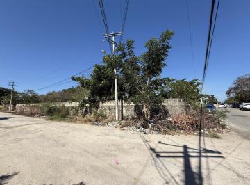 Terreno / Lote · 1500m² · Terreno en Venta en Mérida, Roble Agricola Ideal Para Inversionistas