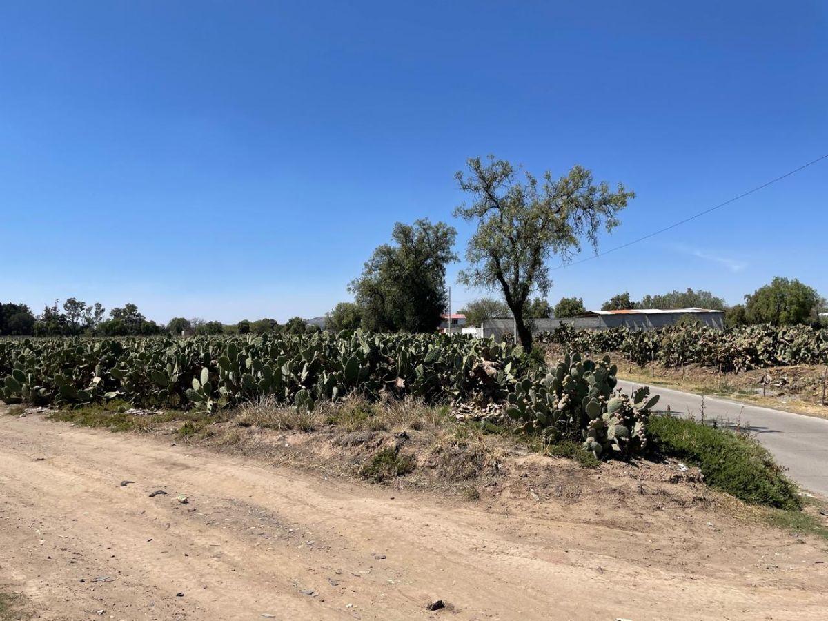 Land for Sale in San Martín de las Pirámides