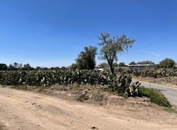 Terreno / Lote , San Martín de las Pirámides · Terrenos en Venta en San Martín de Las Pirámides