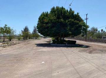 Terreno / Lote · 110000m² · Terreno en Venta Ciudad Constitución, Baja California Sur