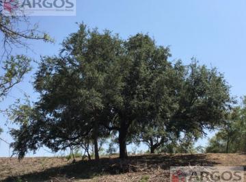 Terreno / Lote · 102000m² · Terreno - El Barrial