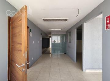 185dd3dd1f94a6f6eb4f9f65ffdedbfee11b819ddbb854ebb6cb2844f88906f3 · Renta - Oficina - Goethe - 170 m² - PH