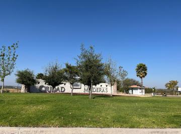 Terreno / Lote · 813m² · Terreno Comercial en Venta Sobre Carretera Lagos - León, Zona Norte
