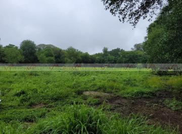Terreno / Lote · 29551m² · Terreno / Lote en Venta en Calles