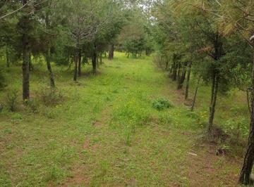 Terreno / Lote · 130m² · Terreno en Canalejas