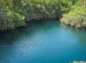 Terreno / Lote , Tulum · Terreno Titulado en Parque con Cenotes