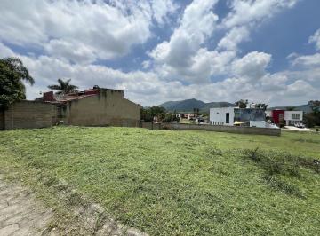 56f3d88221da7f8e0a543bd3fa403324e1f8ca450c07b6919c320e2809b2ff6c · Terreno en Venta Colinas Santa Anita