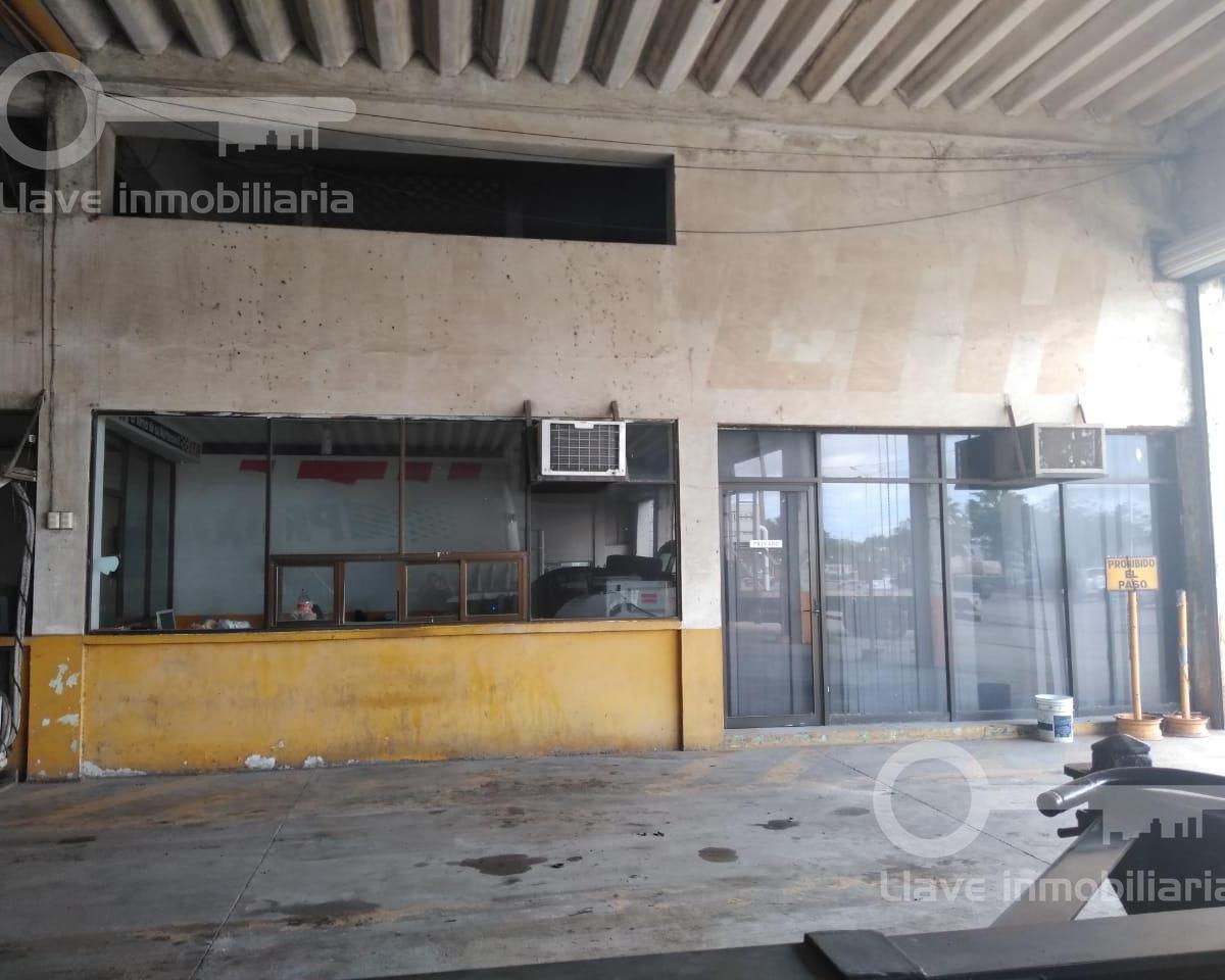 Bodega en Renta, Col. Tierra Nueva