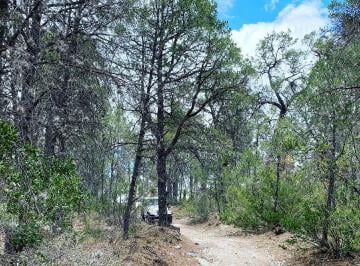 Terreno / Lote en Venta Ejido Los Llanos · Terreno Campestre en Venta Fracc. Campestre La Montaña