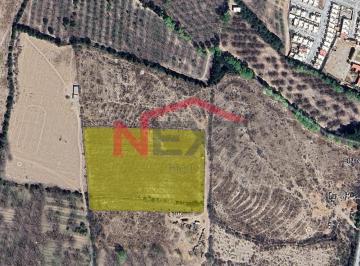 Foto principal · Terreno en Venta Para Desarrollo Habitacional | Centro de Arteaga, Coahuila