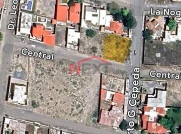 Foto principal · Terreno en Renta | Fracc. Las Flores – Arteaga, Coahuila