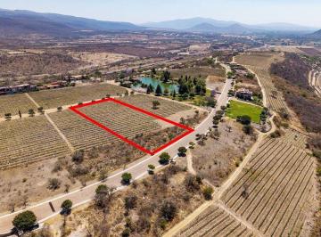 53b780a0acf46815aa3b48a6f2cc472eef326bcaeff77160a01af23bedb51a2f · Lote Residencial en Venta en San Miguel de Allende con Viñedo y Casa Club