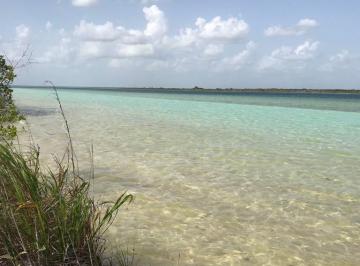 Terreno / Lote · 15900m² · Terreno Frente a La Laguna de Bacalar | Ideal Para Hotel Boutique