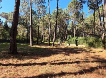 Terreno / Lote · 1254m² · Terreno en Venta - (4)