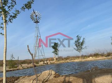 Foto principal · Rancho en Venta | 900 Hectáreas Frente a Carretera a Torreón