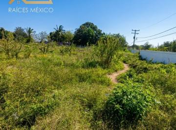Terreno / Lote · Terreno en Venta Col. Ejido La Pedrera