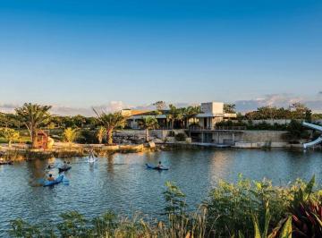 Terreno / Lote , Mérida · Terreno en Venta Mérida, Paraíso