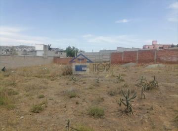 Terreno / Lote , Zempoala · Terreno con 830 m² Superficie de Terreno en Venta, Lindavista