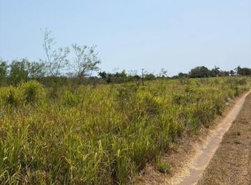 Terreno / Lote · Terreno en Venta en Pueblo Viejo Veracruz.
