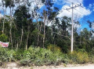 Terreno / Lote , Tulum · Terreno en Venta en Francisco Uh May, Quintana Roo.