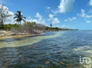 Terreno / Lote · 10847446m² · Predio “santa Rosa” – Isla Blanca, Quintana Roo
