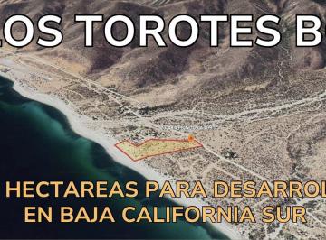 Terreno / Lote · 36000m² · Terreno en Cardonal