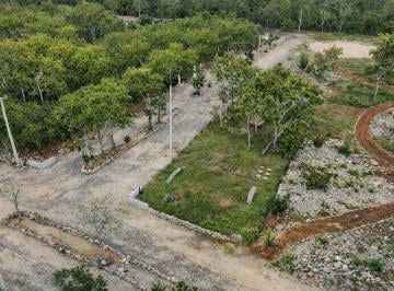 Terreno / Lote · 337m² · Lotes Campestres Eco - Sustentables en Venta en Muxupip, Yucatán