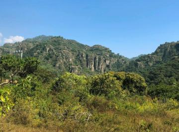 Terreno / Lote , Tepoztlán · Oportunidad de Inversión: 1.1 Hectáreas en Amatlán, Tepoztlán