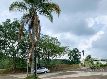 Terreno / Lote · 960m² · Terreno en Venta Fraccionamiento Nuevo Coapexpan
