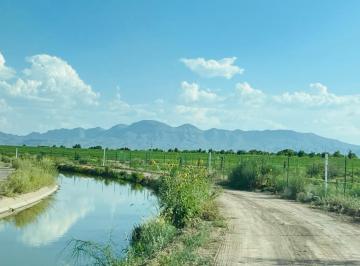 Rancho · 260000m² · Rancho Agrícola en Venta en Meoqui, Chih