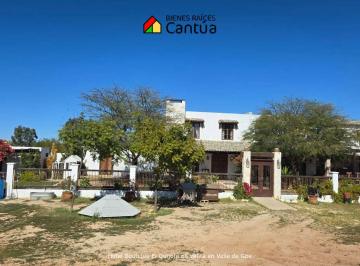 Rancho de 5 habitaciones, Ensenada · Rancho en Venta | Viñedo Productivo + Airbnb | Valle de Guadalupe