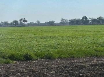 Rancho en Renta de 1 habitación  · Se Rentan 40 Hectáreas Pegadas a Pénjamo Pie de Carr Federal