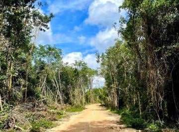 Terreno / Lote , Cancún · Terreno en Venta – Inversión Ecológica en Cancún, Quintana Roo