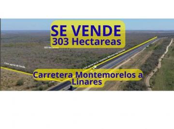Terreno comercial , Montemorelos · Terreno de 303 Ha en Venta