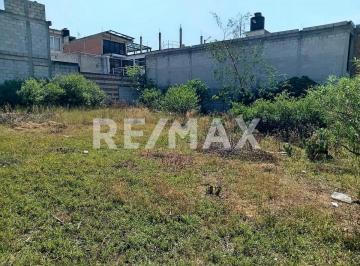 Terreno / Lote · 750m² · Venta de Terreno – Col. Plan de Ayala, San Bartolo Coatepec, Puebla - (4)