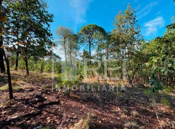 Terreno / Lote , Tapalpa · Terreno en Venta Sierra Mazati en Agua Zarca Tapalpa