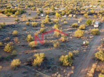 Foto principal · Terreno en Venta en Real del Alamito