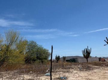 Terreno / Lote , La Paz · Terreno en Venta en La Pitahaya