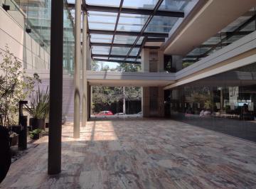 Oficina · 600m² · 13 Estacionamientos · Oficina con Terraza en Palmas, Lomas de Chapultepec