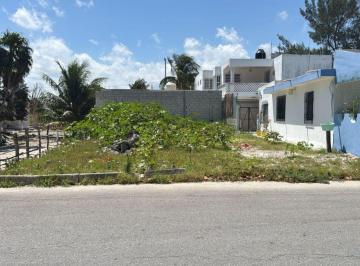 Terreno / Lote , Progreso · Renta de Terreno en Chicxulub Puerto