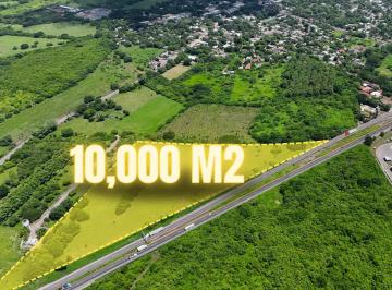 Terreno / Lote · 10000m² · Terreno en Pueblo Delfino Victoria, Carretera Veracruz - Poza Rica, Veracruz